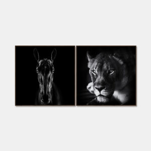 Animals