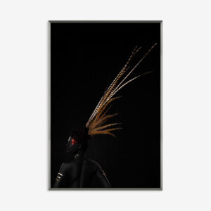 Feathers