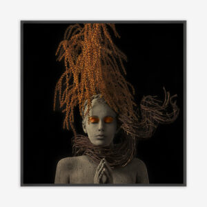 Roots