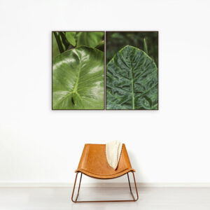 Big Leaf I
