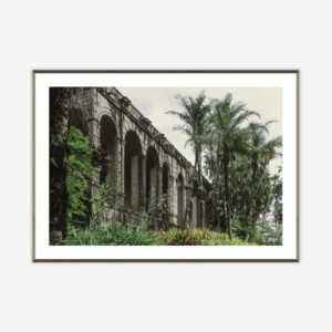 Burle Marx Studio Iii