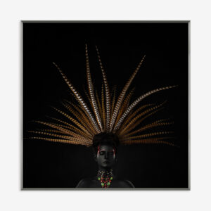 Feathers
