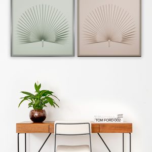 Plantas