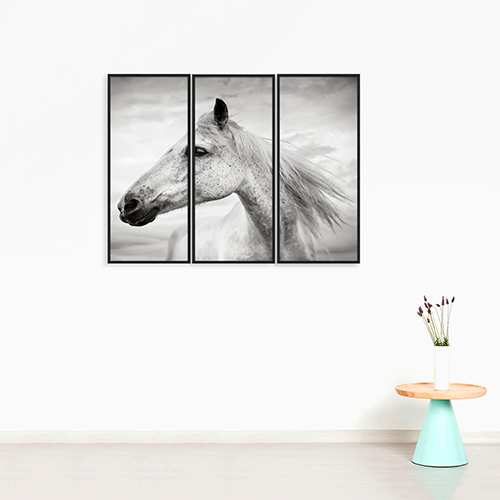 Bw Horse