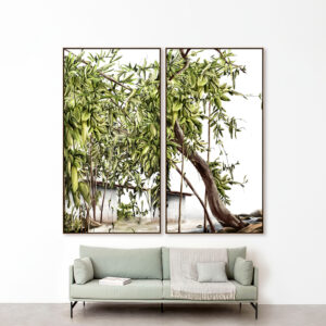 NATUREZA ILUSTRADA