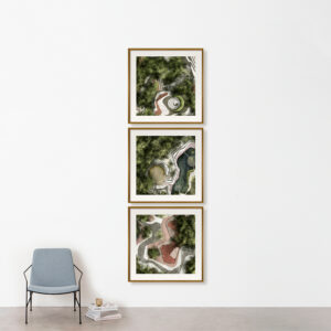 PLANTAS ILUSTRADAS
