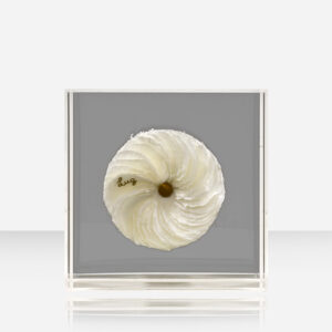 FLORESCER