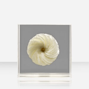 FLORESCER