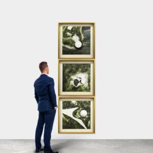 PLANTAS ILUSTRADAS