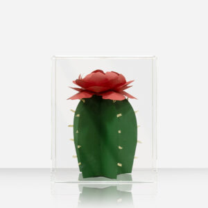 CACTO VERMELHO