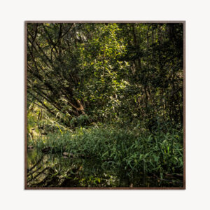 VERDE AMAZÔNIA