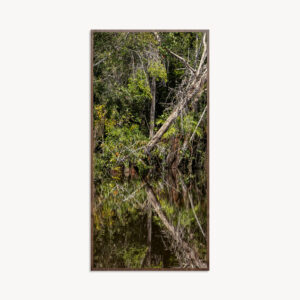 VERDE AMAZÔNIA