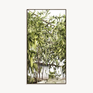 NATUREZA ILUSTRADA