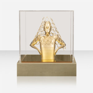BUSTO TELA