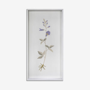 BOTANICA
