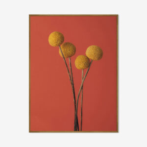LINHA ARTSY