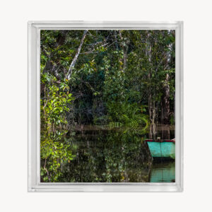 VERDE AMAZÔNIA