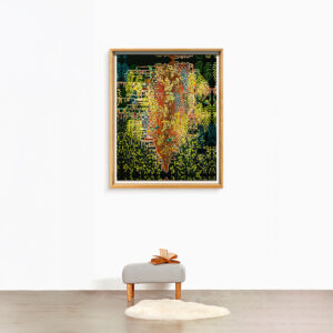 BRASILIDADES