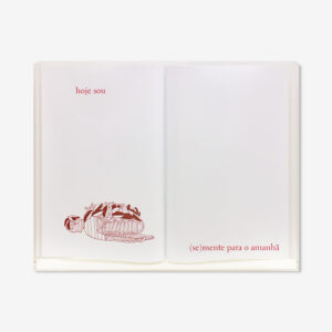 LIVRO ABERTO