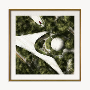 PLANTAS ILUSTRADAS