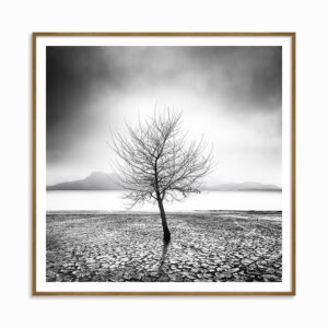 GEORGE DIGALAKIS