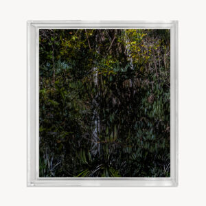 VERDE AMAZÔNIA