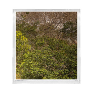 PANORAMA VERDE