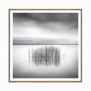 GEORGE DIGALAKIS