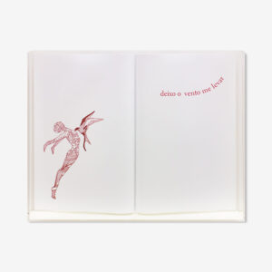 LIVRO ABERTO