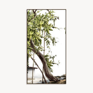NATUREZA ILUSTRADA