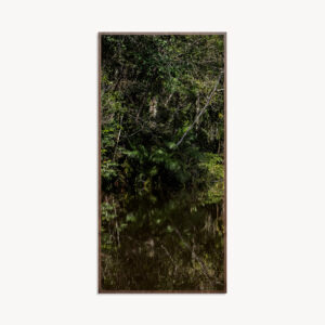 VERDE AMAZÔNIA