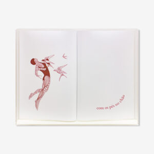 LIVRO ABERTO